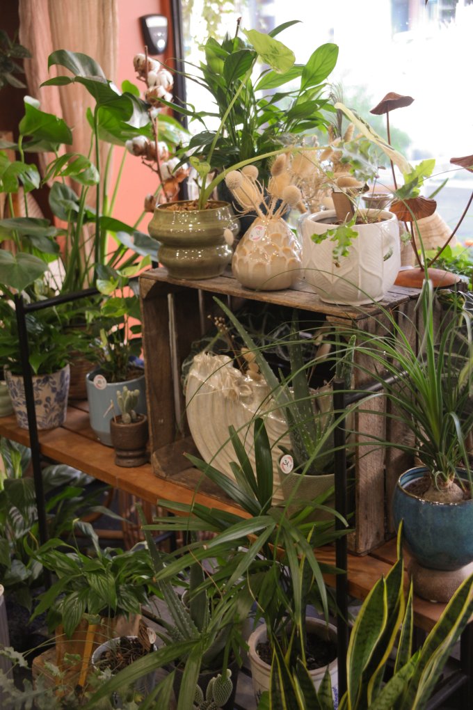 Un doux parfum d'automne